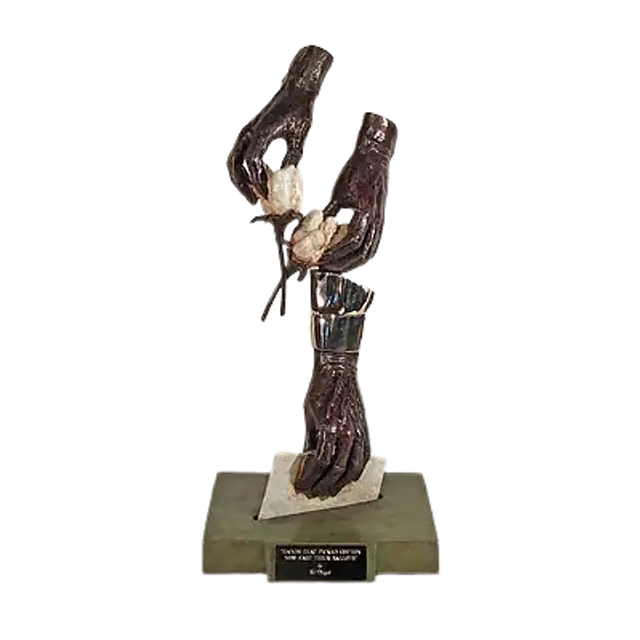 Hands That Picked Cotton, Now Cast Their Ballots - Master