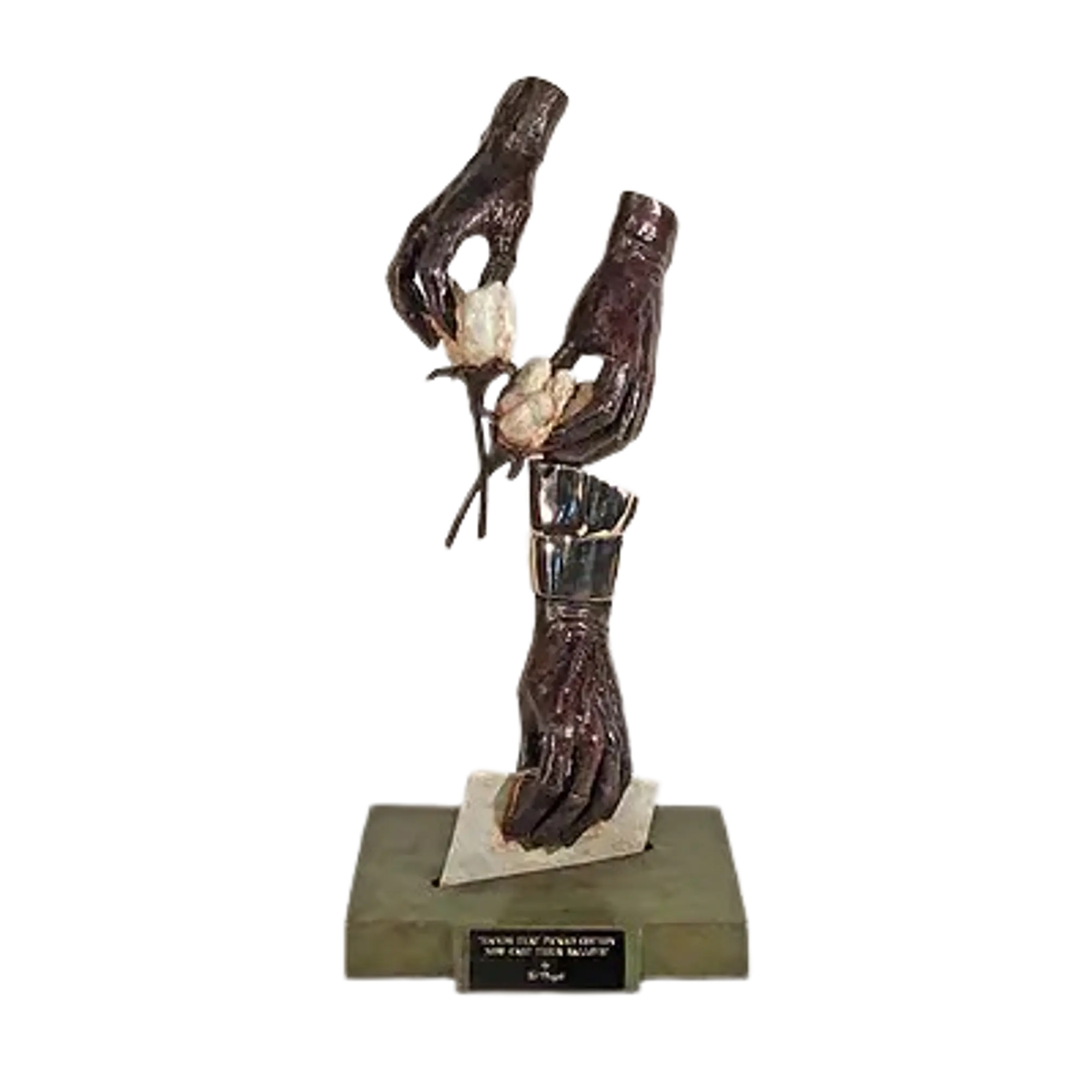 Hands That Picked Cotton, Now Cast Their Ballots - Master