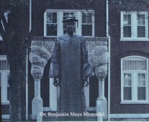 15a. mays